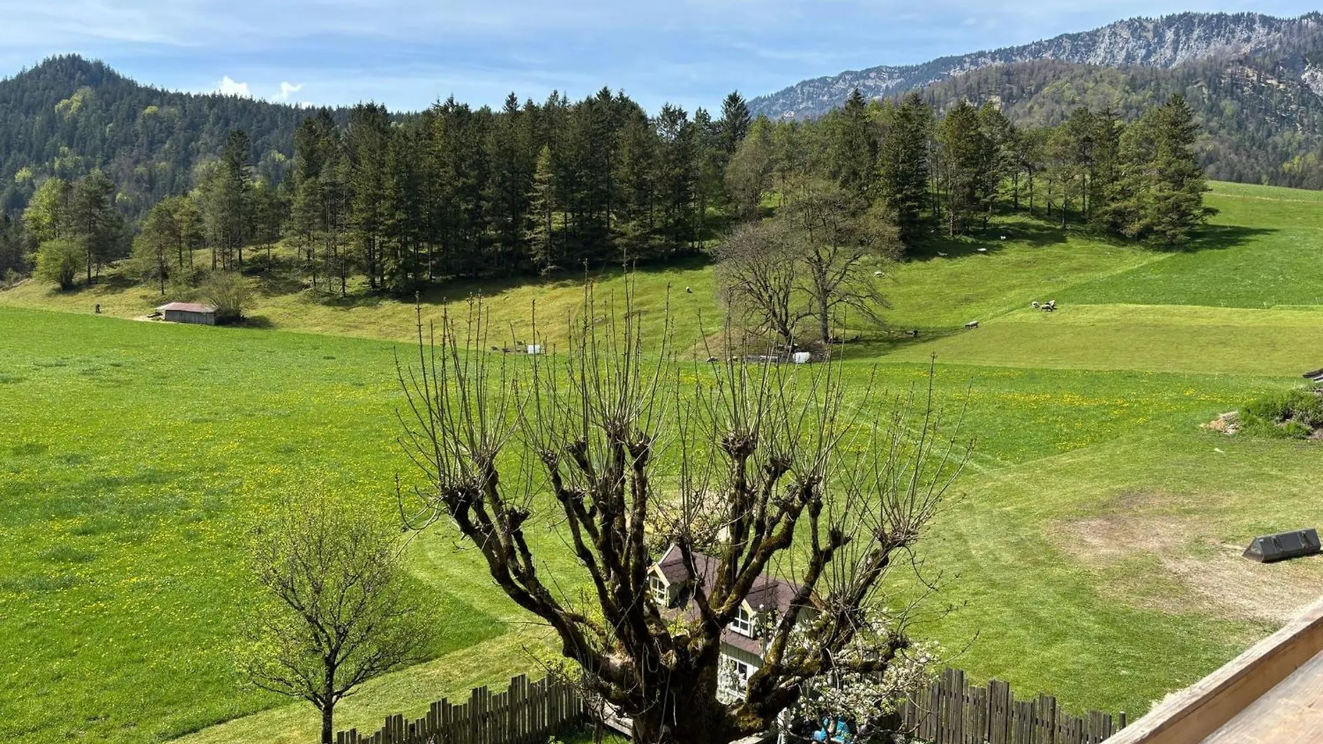 Sellboden Lägenhet Bischofswiesen